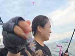 ◆◆03일.군산킹마린호◆◆쭈꾸미 굿조황◆◆다음주자리여유