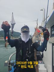 [장흥,완도] 완도덕호 9.3 쭈꾸미