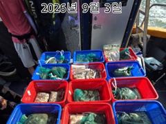 26년 9월 3일!! 인천 썬스타호!! 쭈꾸미대첩 3일차 조황입니다~^.^