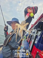 군산킹스타호(9/3)쭈꾸미 마무리조황 (9/8예약가능합니다~) 사진