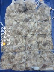 군산킹스타호(9/3)쭈꾸미 마무리조황 (9/8예약가능합니다~) 사진