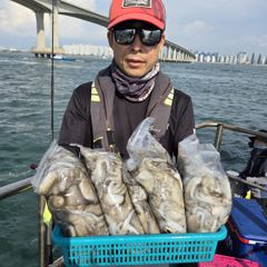 조황정보 - 인천 [마린스타 1호 & 3호] 9월 2일(수) 장원 318마리!!!! [쭈꾸미] 조황!!! - 인천 만석부두 마린스타호 사진
