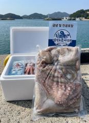제수용 냉동 돌문어 판매 (삼천포 통발조업문어) 사진