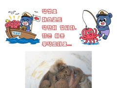 삼천포덕성호 돌문어 출조 예약 받습니다.(2026년 9월 03일 조황사항) 사진