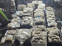 2026년9월3일(13물) 까치선장 자이언트호 쭈/갑 380수, 350수, 300수 오바 대박 조황