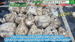 9월3일 홍원항힐링호 Very Good~ 쭈갑 조황~!오랫만에 오신분들이 많으셔서 걱정이 좀 됬지만...금방적응하시고 기록갱신하고왔네요 ㅋㅋ350수오바~ 수고들 많으셨습니다 ㅎㅎ