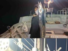 은빛나래피싱 대박입니다. 초저녁부터 폭발적인 소나기 입질에 시원한 도끼입질까지 생미끼에 대갈치 집중공략