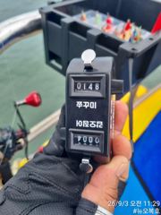 전체조황 - 9/3 11시30분 조황 - 무창포 오복낚시,배낚시,선상낚시 전문