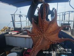 1시간전 [목포] 목화피싱 9/03일 야간갈치낚시 목포앞바다 갈치가 바글바글 (주말 갈치낚시 추천합니다.)