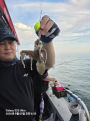오늘의조황 - 9월3일 아침에 느냐느냐 있었지요 - 홍원항 엔젤피싱호,배낚시,바다낚시 전문 사진