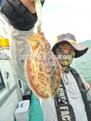 9/3일, 군산주꾸미~좋아지고 있어요~~점점 좋아지는 쭈꾸미조황~군산 나드리호