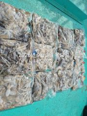9/3일, 군산주꾸미~좋아지고 있어요~~점점 좋아지는 쭈꾸미조황…