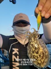 9/4일, 군산주꾸미~오늘도 나오고 있어요~점점 좋아지는 쭈꾸미조황~군산 포세이돈호 사진