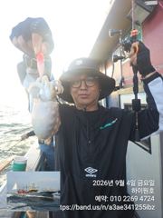 9/4일, 재미있는 군산주꾸미~ 나오고 있어요~점점 좋아지는 쭈꾸미조황~군산 하이원호 사진