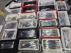 우와~4일새벽,내만칼치 3지까지 어마어마 전원퍼담고 대폭팔~예약가능~