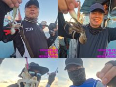 레인보우호 쭈꾸미 실시간 조황(4일)