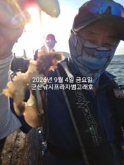 9/4일, 오늘도 나오고 있는 군산주꾸미~점점 좋아지는 쭈꾸미조… 사진