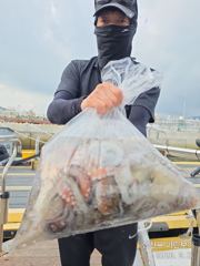 삼천포 마린보이 9. 6. 일요일 풍성한 주간문어 뜯으로 출항합니다.