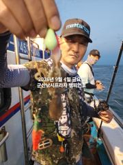9/4일, 군산주꾸미~ 오늘도 나오고 있어요~점점 좋아지는 쭈꾸미조황~군산 챔피언호 사진