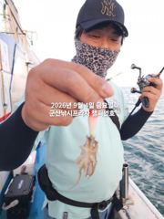 9/4일, 군산주꾸미~ 오늘도 나오고 있어요~점점 좋아지는 쭈꾸… 사진