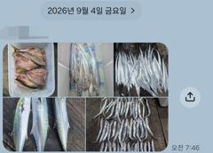 1
					
				
																[마산] 마산 원전 선상낚시터 목요일 야간 조황									1