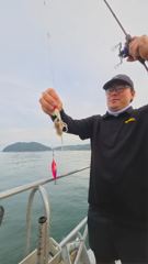 (南)남해조황 - 9월 3일 장원 새자리수 오버 쭈꾸미 조황임다! 사진