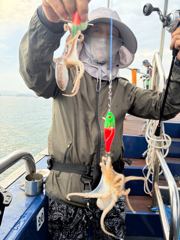 오늘의조황 - 9월2일 쭈꾸미 갑이 전원 망탱이 조황 - 홍원항 한스타호 사진