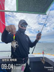 금요일 쭈꾸미 조황입니다  사진