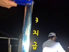 내만갈치 사이즈 마리수 굿굿!!! 100수 이상 낚낚GOGO~