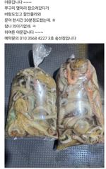 [사천] (((해림3호)))오후 조업 다녀왔습니다