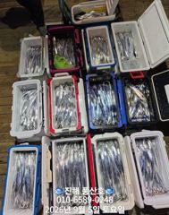"내만 갈치" 회무침먹고~ 1타1피~(오늘,예약가능합니다) 사진