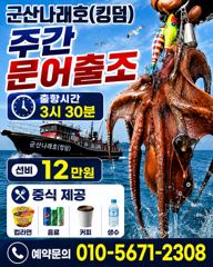 9/5 군산나래호(킹덤) 쭈꾸미 실시간입니다 9일 주간문어 자리 여유있습니다 사진