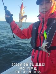 9월 5일 군산 마루호 실시간 조항~☆ 사진