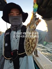 9/5일, 군산주꾸미~가족과 함께 하면 재미있는낚시~~실시간~점점 좋아지는 쭈꾸미조황~군산 범고래호 사진