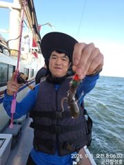 9/5일, 주꾸미~남녀노소 재미있는 생활낚시~~실시간~점점 좋아지는 쭈꾸미조황~군산 창성호 사진