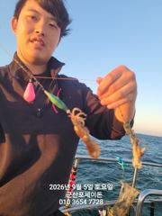 9/5일,가족과 함께 하면 재미있는낚시~군산쭈꾸미~실시간~점점 좋아지는 쭈꾸미조황~군산 포세이돈호 사진