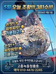 <고흥녹동> 청룡호 5일 새벽반 돌문어 대박조황소식!!@