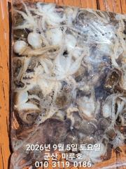 ★★ [군산대일피싱] 마루호 쭈꾸미 조황입니다. 다음주 평일 자리있습니다. 사진