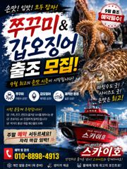 ■9/5《쭈꾸미 조황~~~》9월7일 《쭈&갑》출조 나갑니다 사진