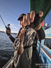 5일 열한분 전원 쭈꾸미 100수 전후로 잡았습니다, 잘 나오네요 ~^^ (9/7 월요일부터 자리여유 있습니다) 사진