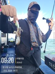 9월5일쭈꾸미조황입니다. 사진