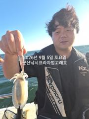 9/5,연일 계속되는 군산 쭈꾸미낚시~깝오징어는 보너스~군산 범고래호 사진