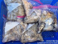 오늘의조황 - 뉴대호피싱 9월5일 쭈갑조황입니다!! - 홍원항 항구낚시 사진