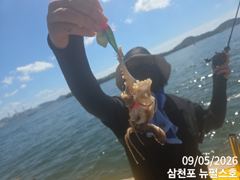 삼천포 쭈꾸미 good!!