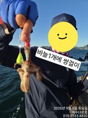여수쭈꾸미 시원한 바람통에도 잘 나와줍니다. 일요일도 출항합니다.