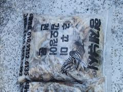 9월5이 뉴해성호 쭈꾸미 조황 사진