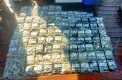[영동1호] 9월 5일 쭈꾸미 갑오징어 굿~조황 사진