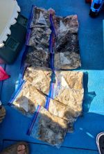 [쭈꾸미] 9/5_금강3호조황:)