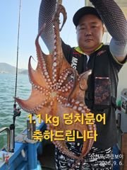 삼천포 마린보이 9. 6. 일요일 주간문어 뜯으로 출항합니다. 사진