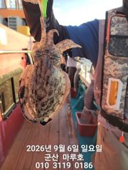 9월 6일 쭈꾸미 실시간 조항 ~☆